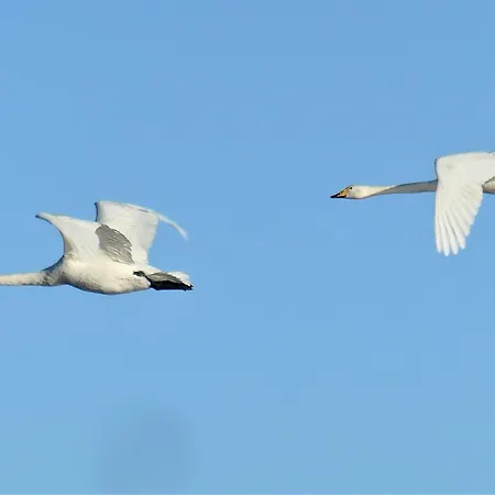 Hafenblick Geltinger Bucht *