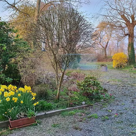 Hafenblick Geltinger Bucht * Koppelheck