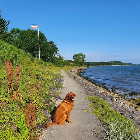 Apartment Hafenblick Geltinger Bucht *