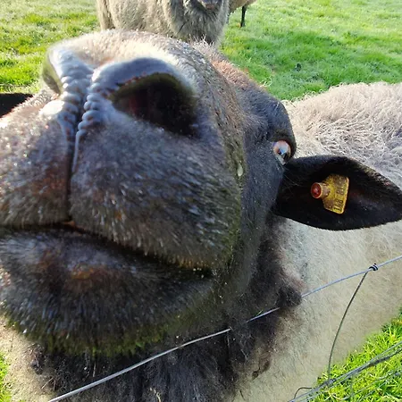 Hafenblick Geltinger Bucht Apartment Koppelheck