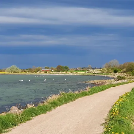Hafenblick Geltinger Bucht Koppelheck