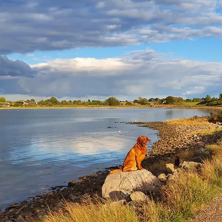 Hafenblick Geltinger Bucht
