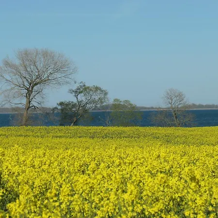 Hafenblick Geltinger Bucht Apartment *