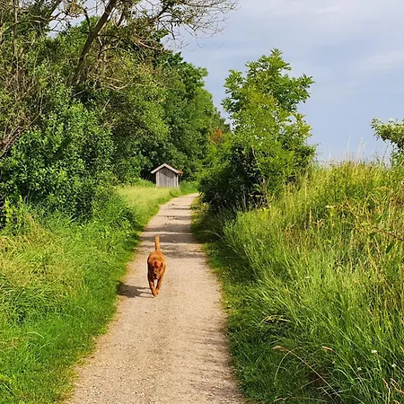 Hafenblick Geltinger Bucht * Koppelheck