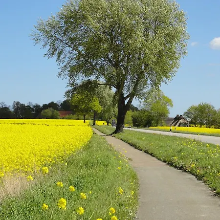 Hafenblick Geltinger Bucht