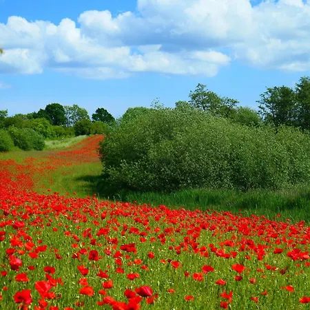 Hafenblick Geltinger Bucht Koppelheck