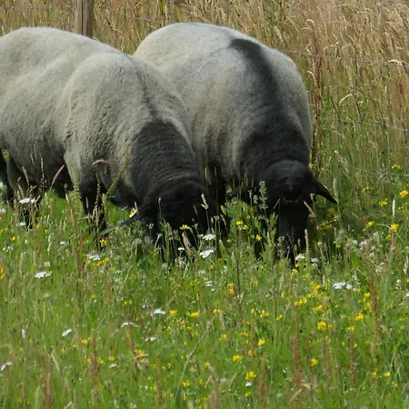Hafenblick Geltinger Bucht Apartment Koppelheck