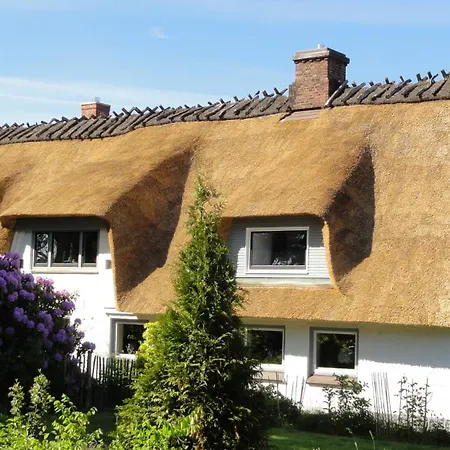 Hafenblick Geltinger Bucht Koppelheck